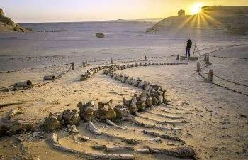 The Balnco Amon Desert Tour Package 10 Days Cairo, Nile & Desert Safari