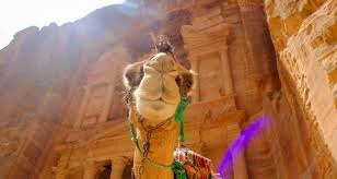 The Ultimate 3 Day Petra Tour Package Express Jordan Escape