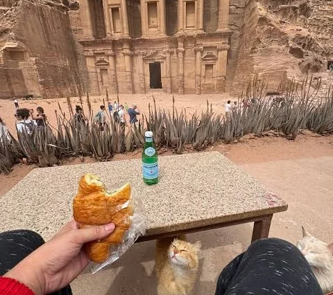 The Ultimate 4 Day Private Jordan Tour A VIP Express Escape